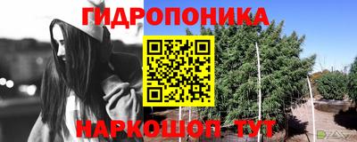 прущие крисы Ликино-Дулёво