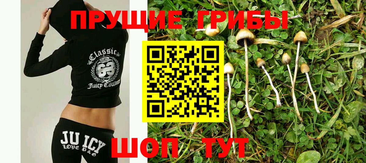 Галлюциногенные грибы прущие грибы  Галлюциногенные грибы мухоморы  Балахна  Вход с VPN 